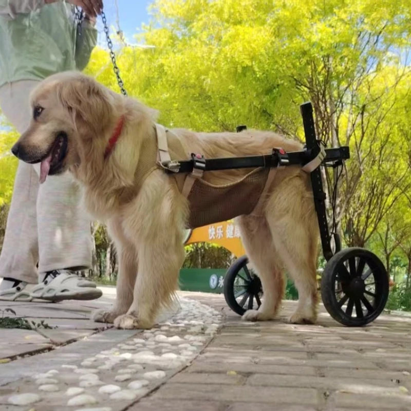 Pet Dog Wheelchair Rehabilitation Walking Assist Cart Training