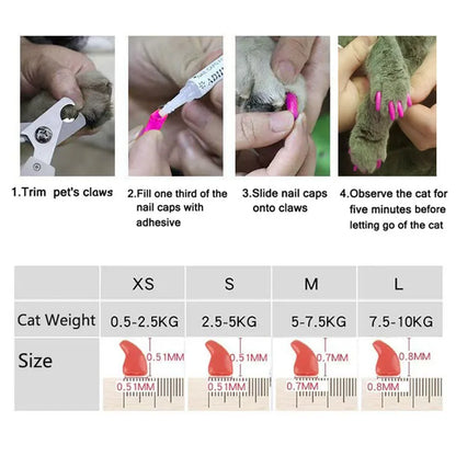 Cat Nail Caps Soft Paws Protector Covers With Adhesive Glue (60 pieces)