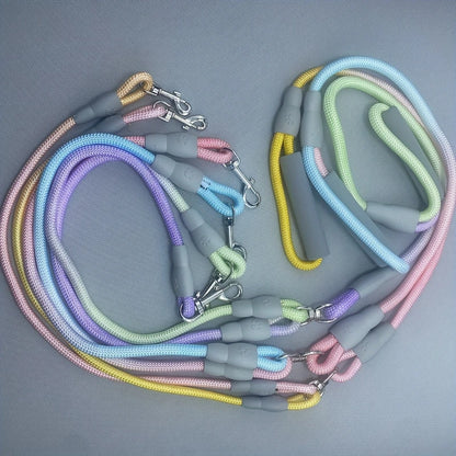 Double Pet Leash With Jewel-Tone Gradient For Middle Eastern Pet Owners