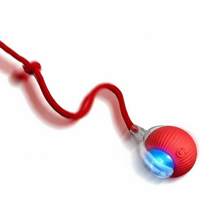 Interactive Rolling Ball Toy for Dogs and Cats - Smart Pet Training