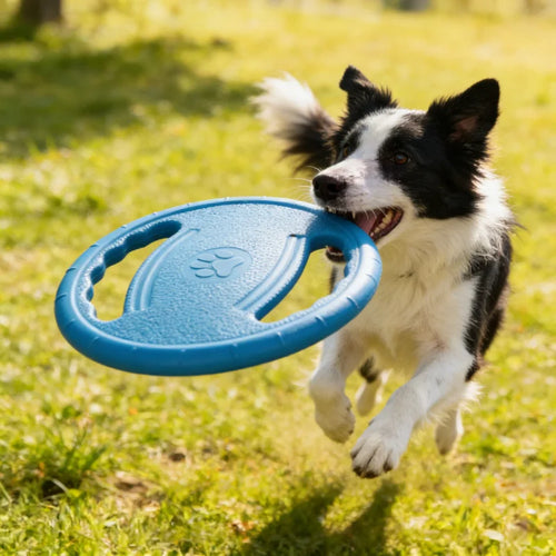 Dog Flying Disc EVA Chew Toy - Indestructible Pet Training Disc