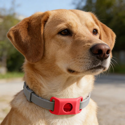 Flea And Tick Pendant For Dogs Natural Protection Green