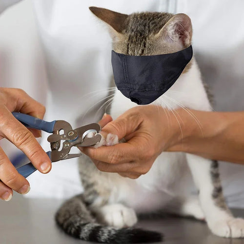 Cat Anti-Bite Muzzle Breathable Nylon Grooming Restraint Hood