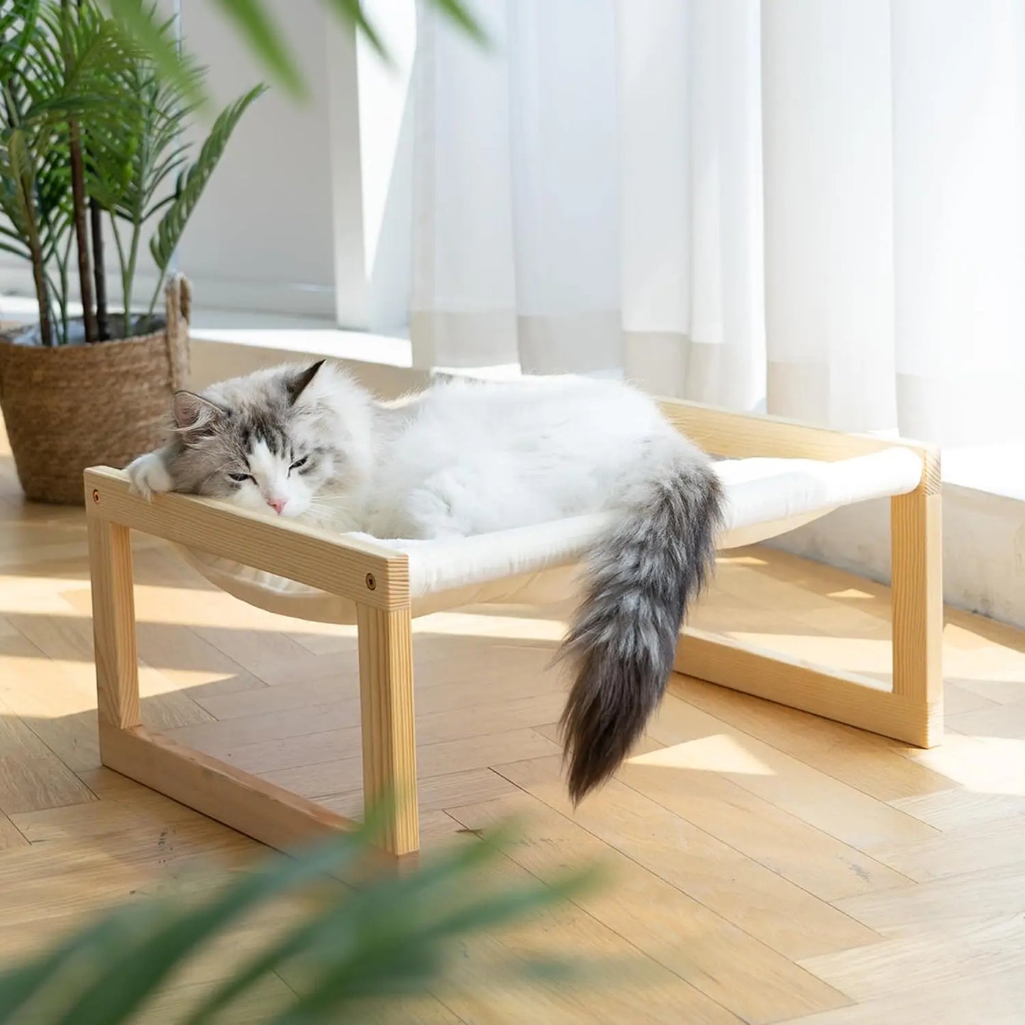 Cat Raised Wooden Bed With Removable Mattress Cover White 10kg
