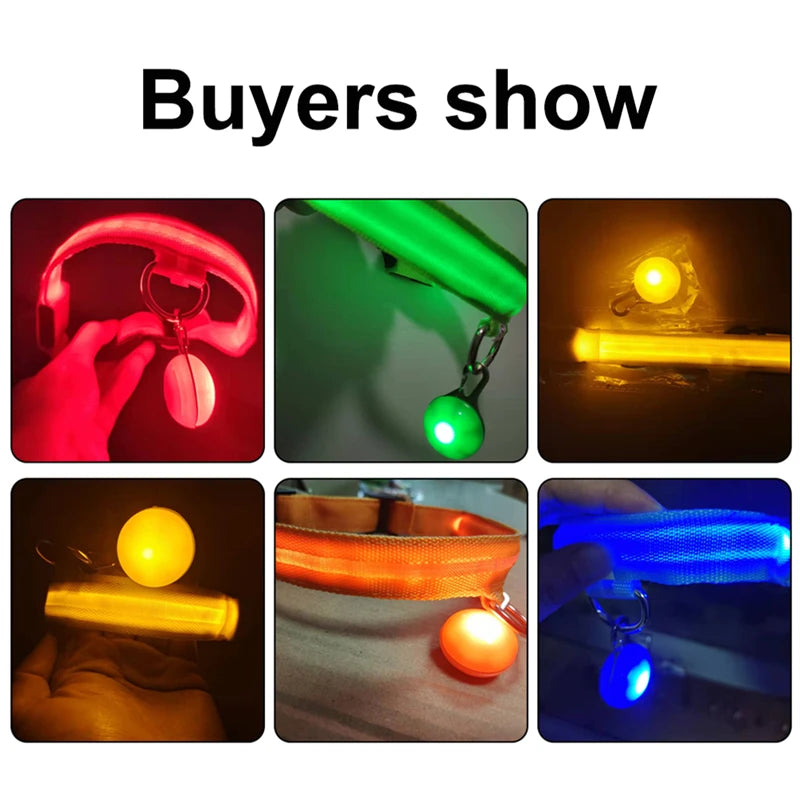 USB Charging LED Dog Collar With Detachable Pendant For Night Safety