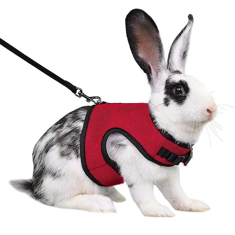 Breathable Pet Vest Harness For Small Animals - Adjustable Comfort Fit
