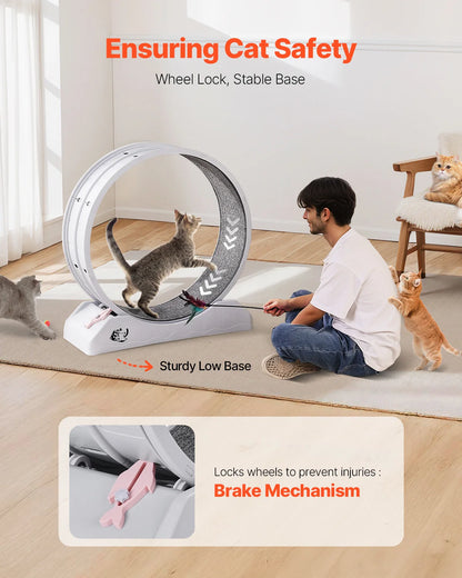 SucceBuy Cat Exercise Wheel 31.5 Inch Large Treadmill With Brake
