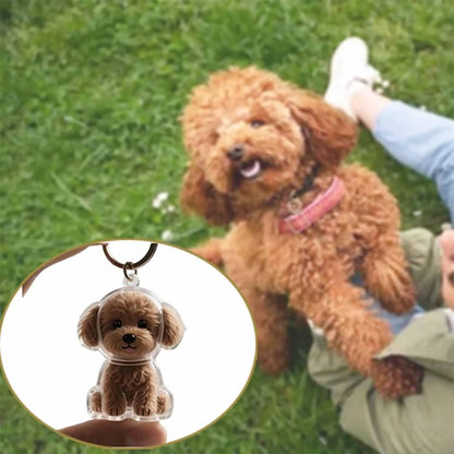 Pet Memorial Keychain - Dog Hair Storage Pendant With Resin Capsule