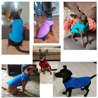 Warm Fleece Dog Jacket Vest With D-Ring For Small Dogs And Cats