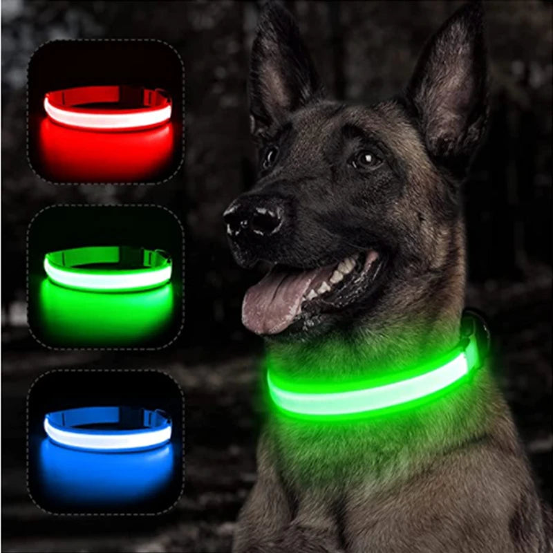 USB Charging LED Dog Collar With Detachable Pendant For Night Safety