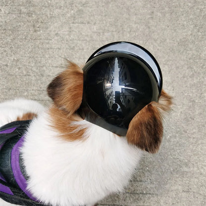Dog Helmet For Small Medium Dogs Hiking Cycling Pet Safety Gear