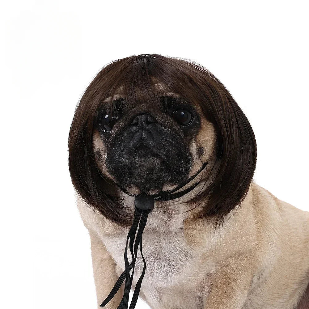 Pet Wig for Dogs and Cats - Halloween Costume Accessory with DIY Trim