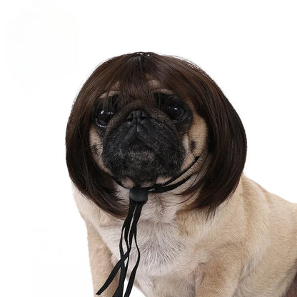 Pet Wig for Dogs and Cats - Halloween Costume Accessory with DIY Trim