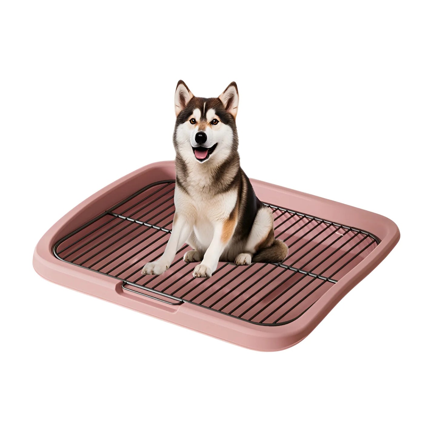 Large Dog Toilet Training Equipment - Stainless Steel Poop Collector