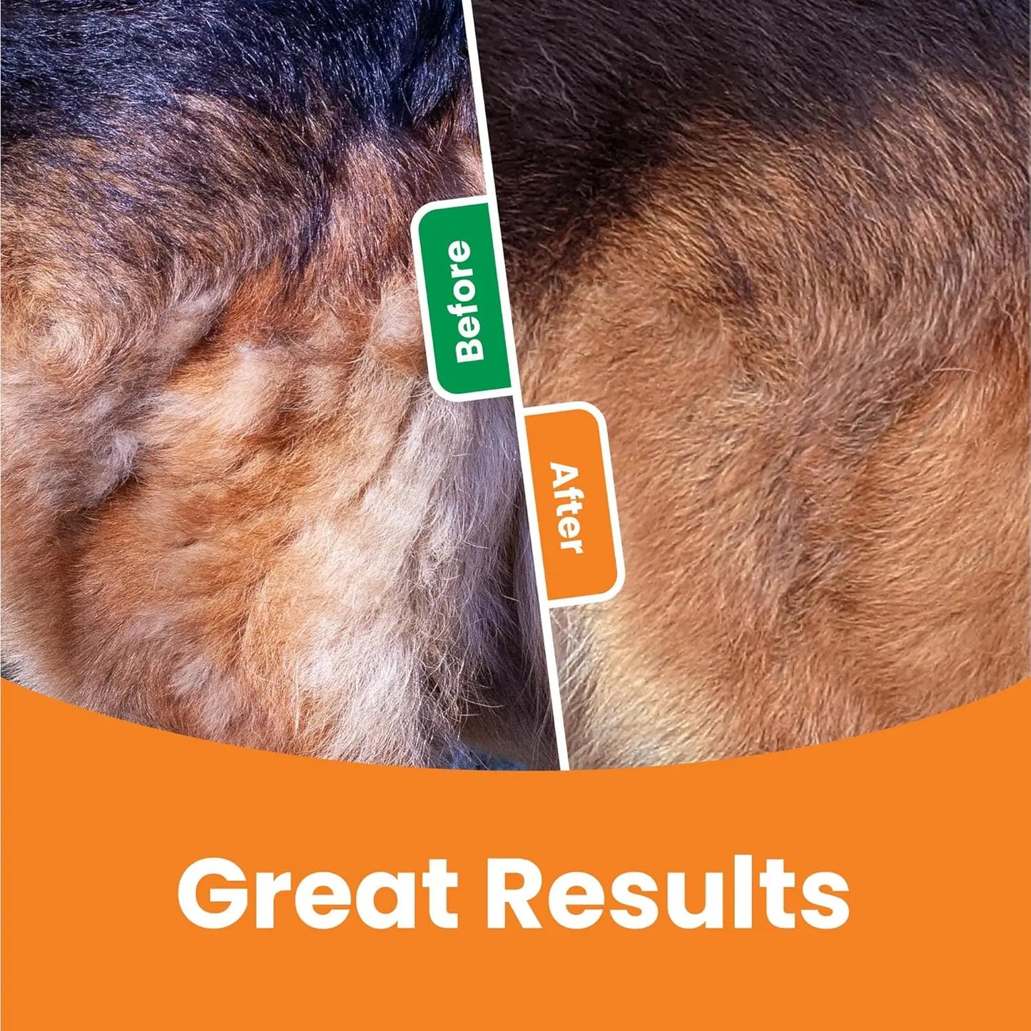 3 In 1 Pet Deshedding Brush - Dog Hair Remover & Grooming Tool