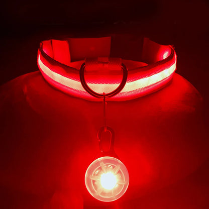 USB Charging LED Dog Collar With Detachable Pendant For Night Safety