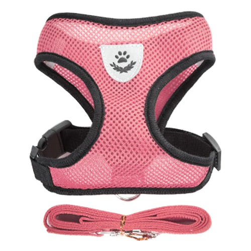 Dog Harness For Small Dogs - Adjustable Pet Harness And Leash Set