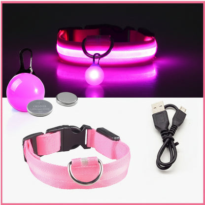 USB Charging LED Dog Collar With Detachable Pendant For Night Safety