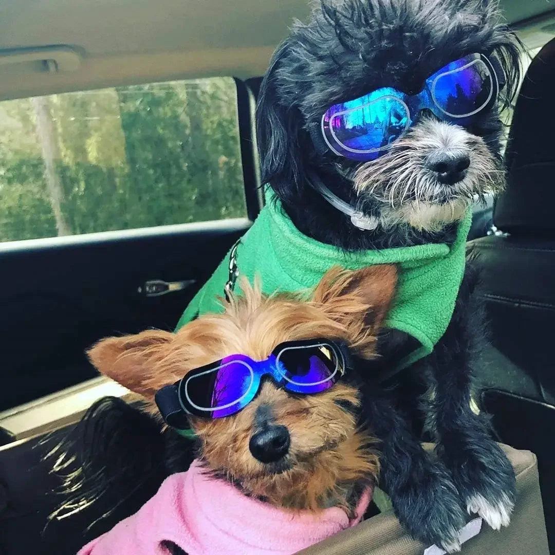 Dog Helmet Sunglasses For Small Medium Dogs UV Protection Outdoor