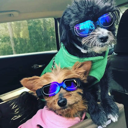 Dog Helmet Sunglasses For Small Medium Dogs UV Protection Outdoor