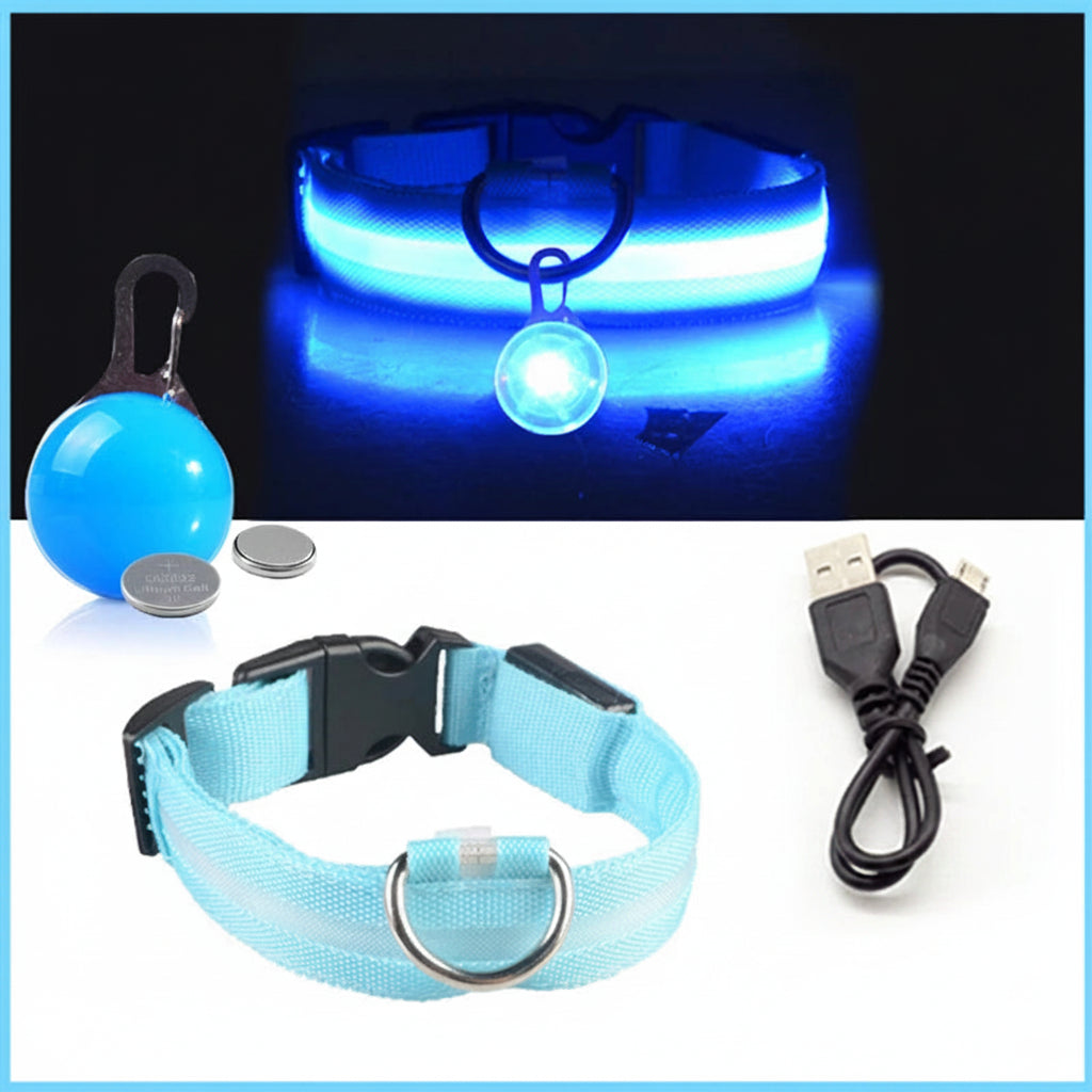 USB Charging LED Dog Collar With Detachable Pendant For Night Safety