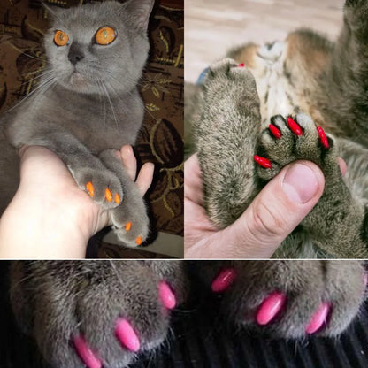Cat Nail Caps Soft Paws Protector Covers With Adhesive Glue (60 pieces)