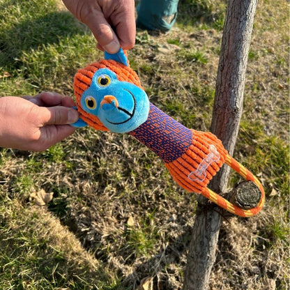 Dog Squeaky Toys - Bite Resistant Corduroy Animal Shapes For All Dogs