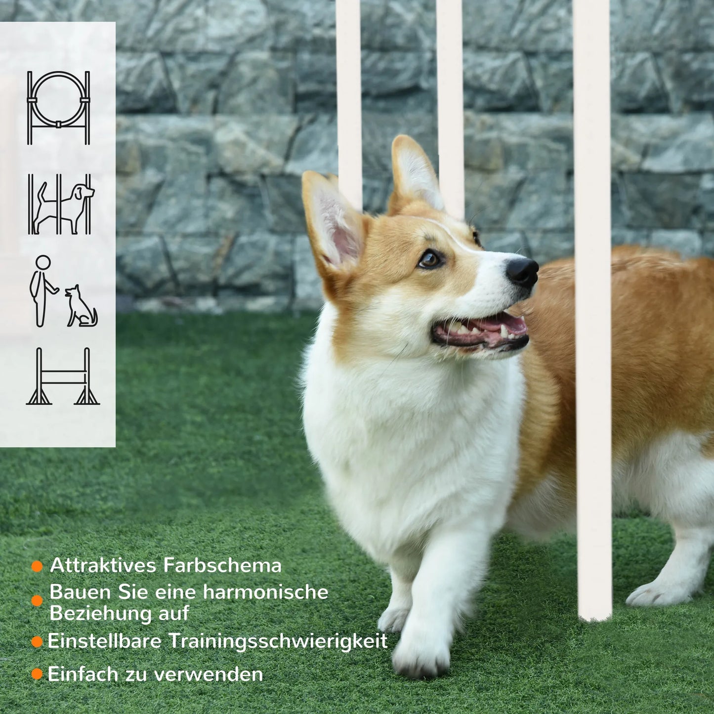 PawHut Dog Agility Training Set - 5 Piece Equipment Kit With Bag