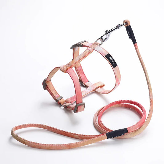 Adjustable Dog Cat Harness And Leash Set For Small Pets