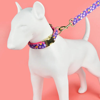 Luxury Colorful Dog Collar And Leash Set For Small Medium Large Dogs