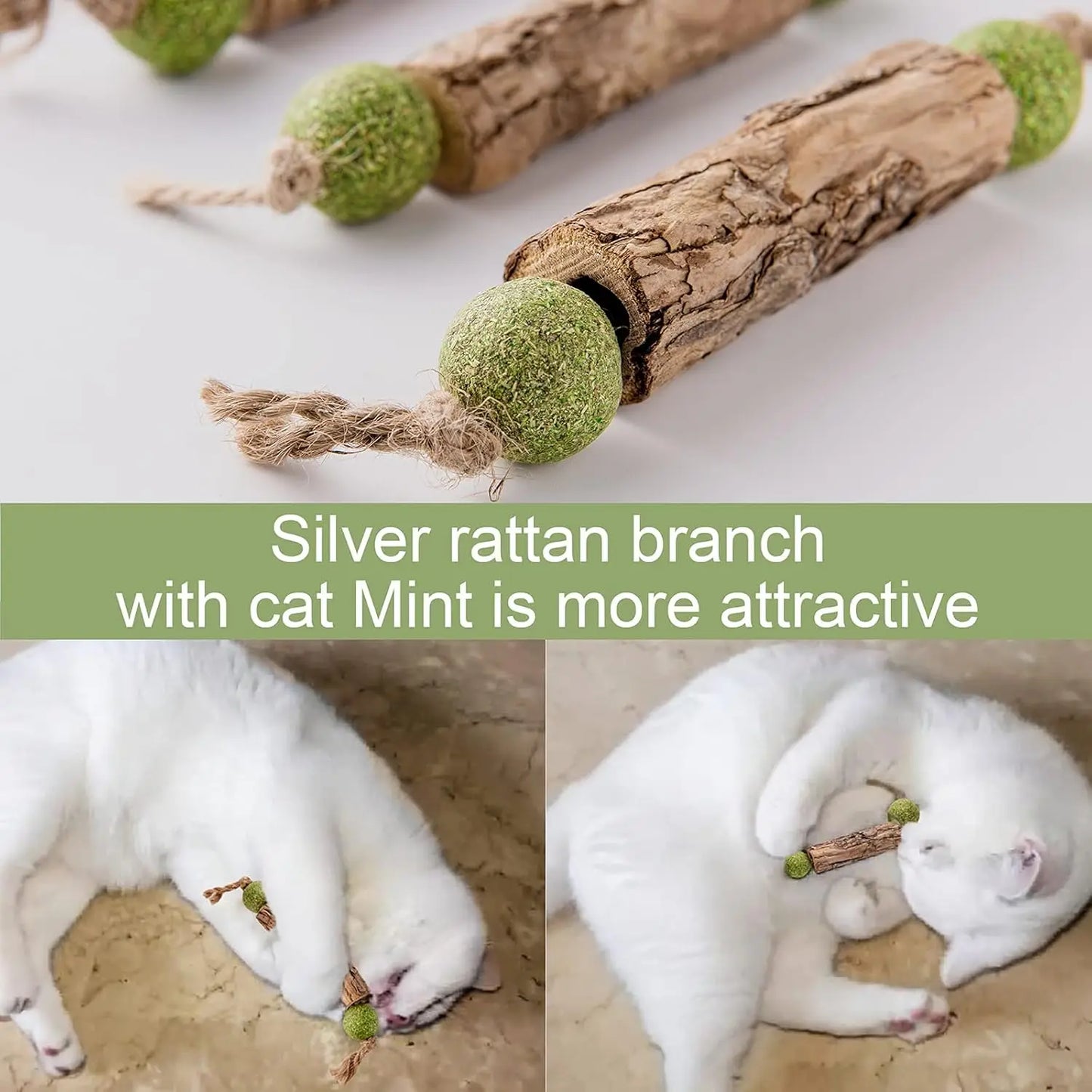 Natural Catnip Teeth Cleaning Stick For Cats - Matatabi Chew Toy