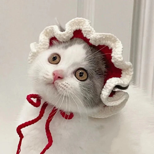 Cute Cat Hat Funny Pet Party Cosplay Knitted Headwear Accessories