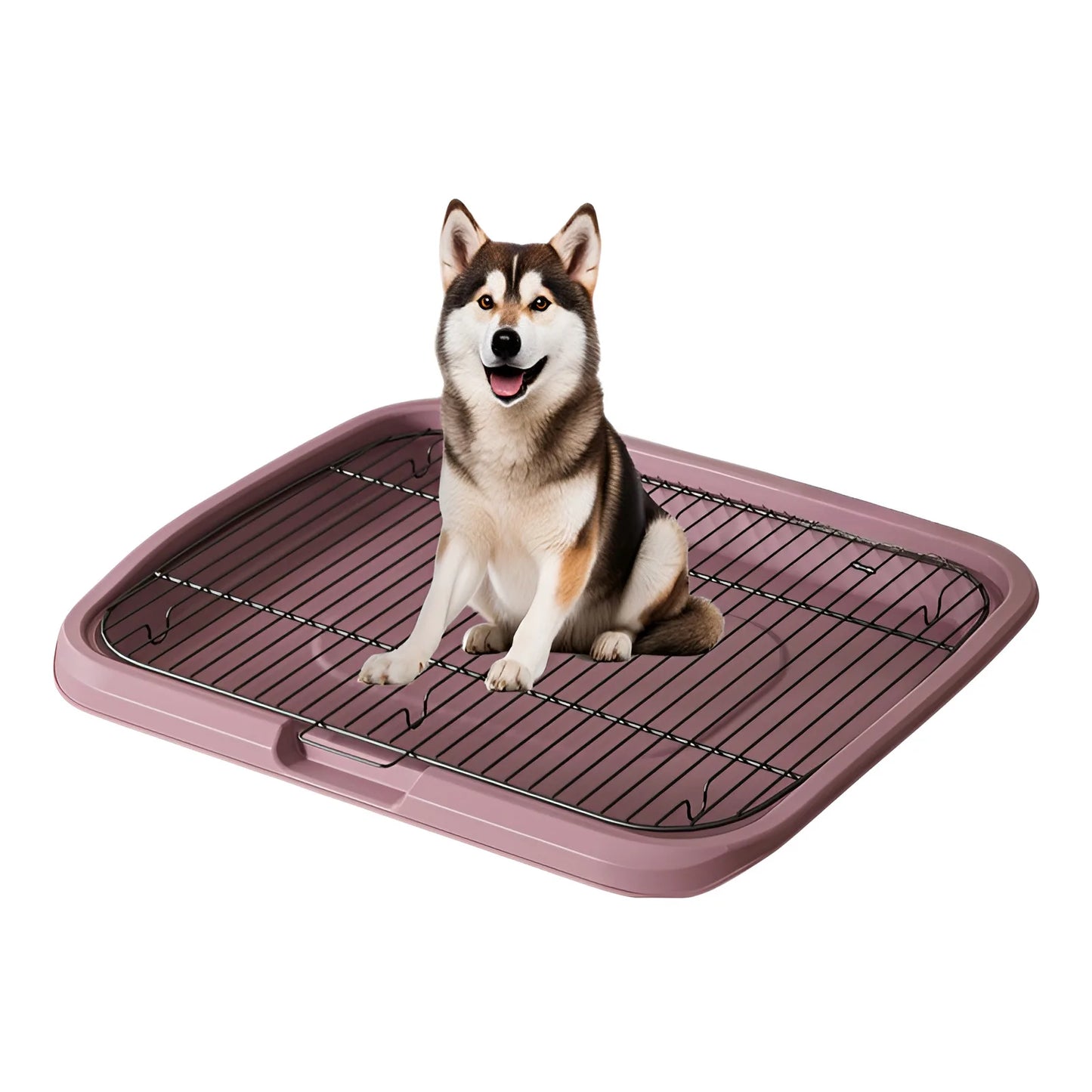 Large Dog Toilet Training Equipment - Stainless Steel Poop Collector