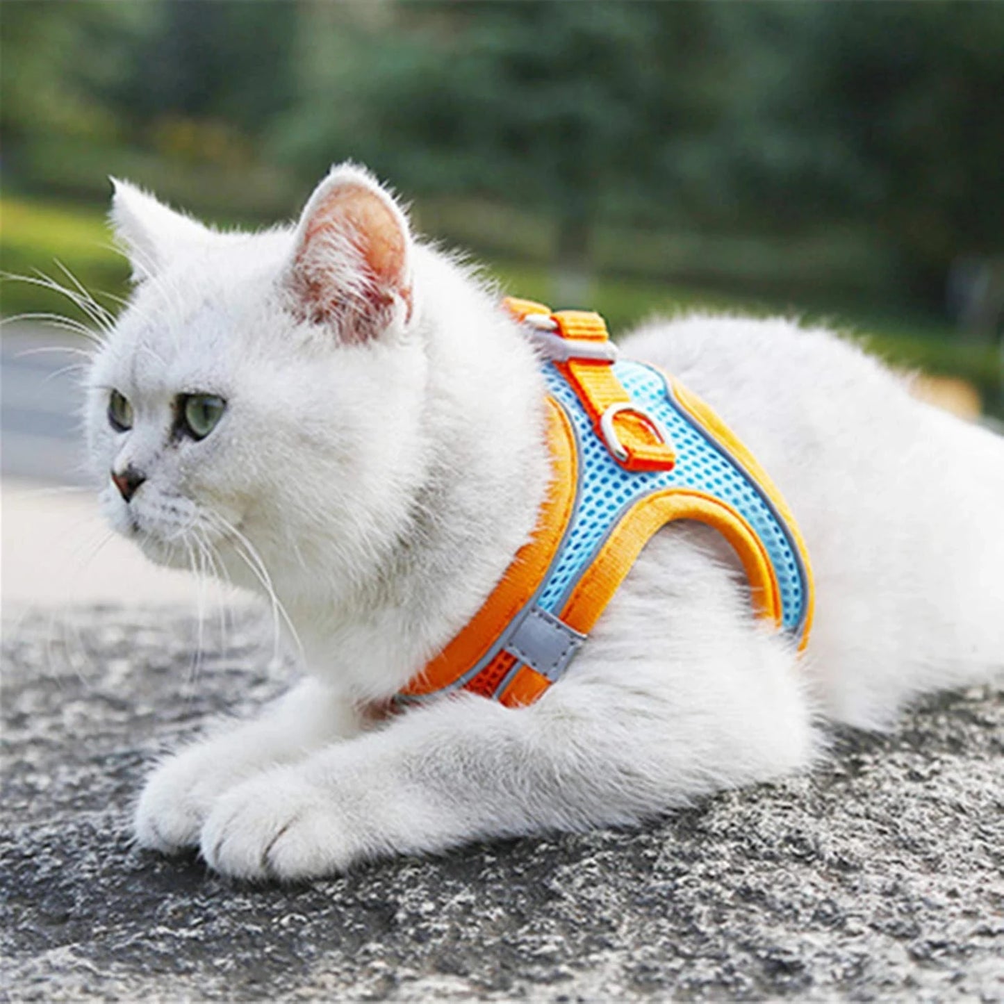 Cat Harness Reflective Pet Leash Set Adjustable For Small Dogs