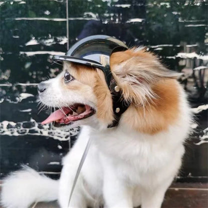 Dog Helmet For Small Medium Dogs Hiking Cycling Pet Safety Gear