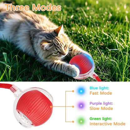 Interactive Rolling Ball Toy for Dogs and Cats - Smart Pet Training