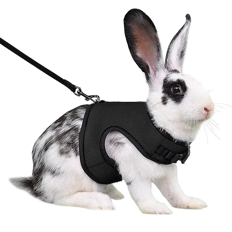Breathable Pet Vest Harness For Small Animals - Adjustable Comfort Fit