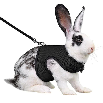 Breathable Pet Vest Harness For Small Animals - Adjustable Comfort Fit