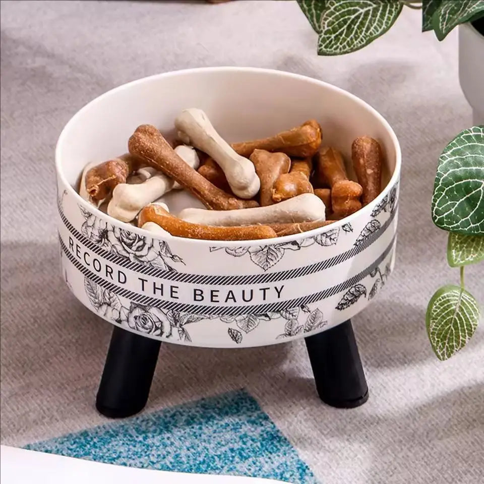Stainless Steel Elevated Pet Bowls For Cats And Dogs