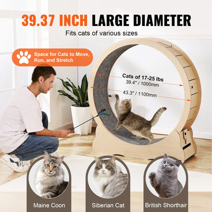 Large Wooden Cat Exercise Wheel With Detachable Carpet