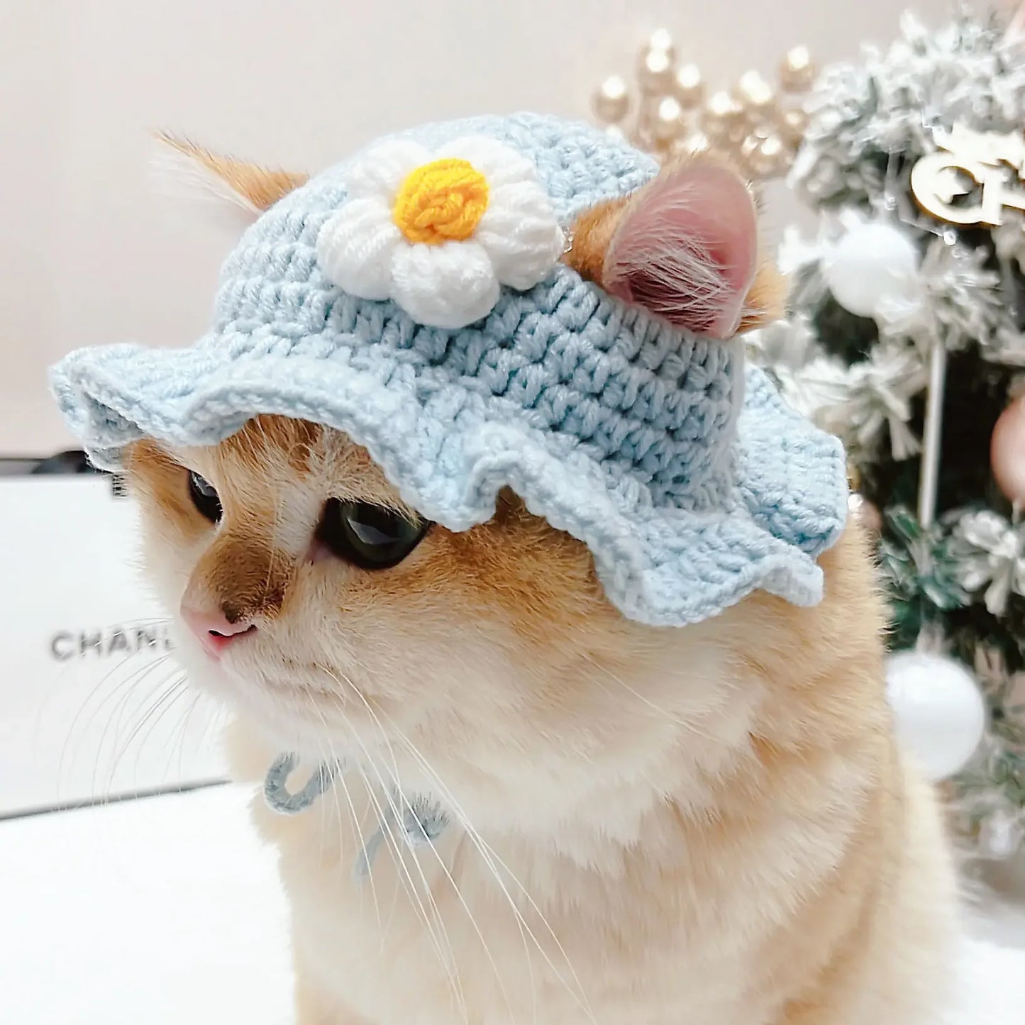 Cute Cat Hat Funny Pet Party Cosplay Knitted Headwear Accessories