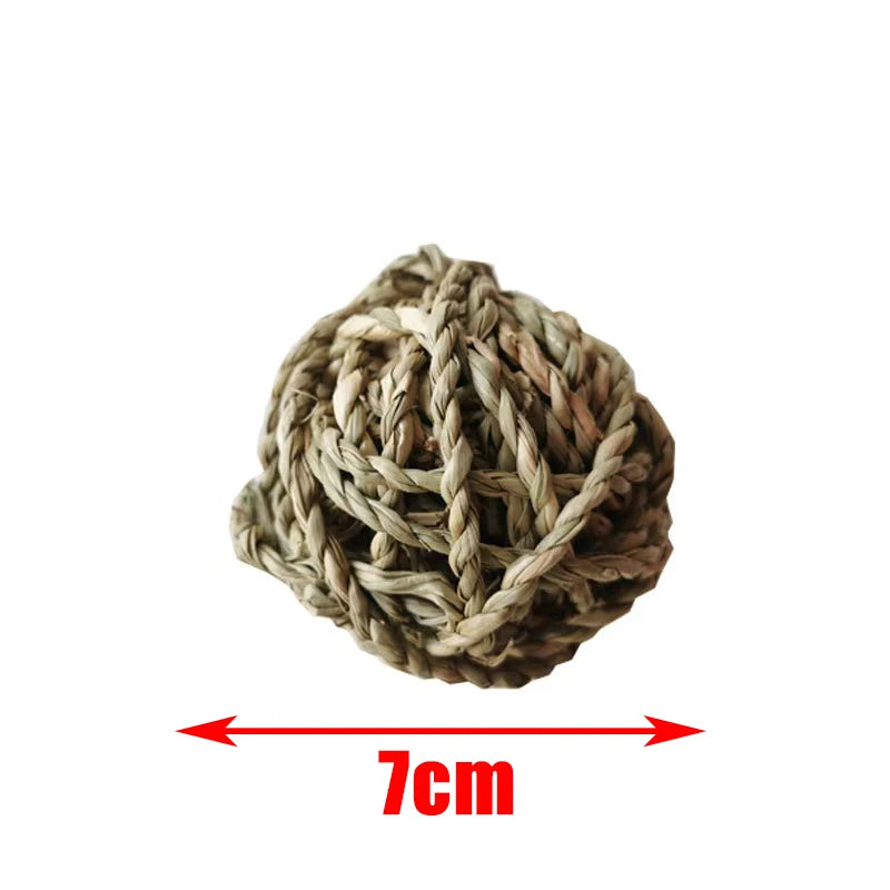 Guinea Pig Rabbit Hamster Small Animal Wooden Chew Toys Set