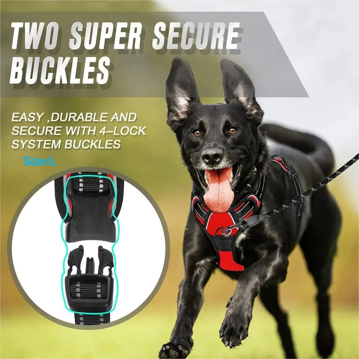 Dog Harness Vest Set With Collar And Leash For All Size Dogs