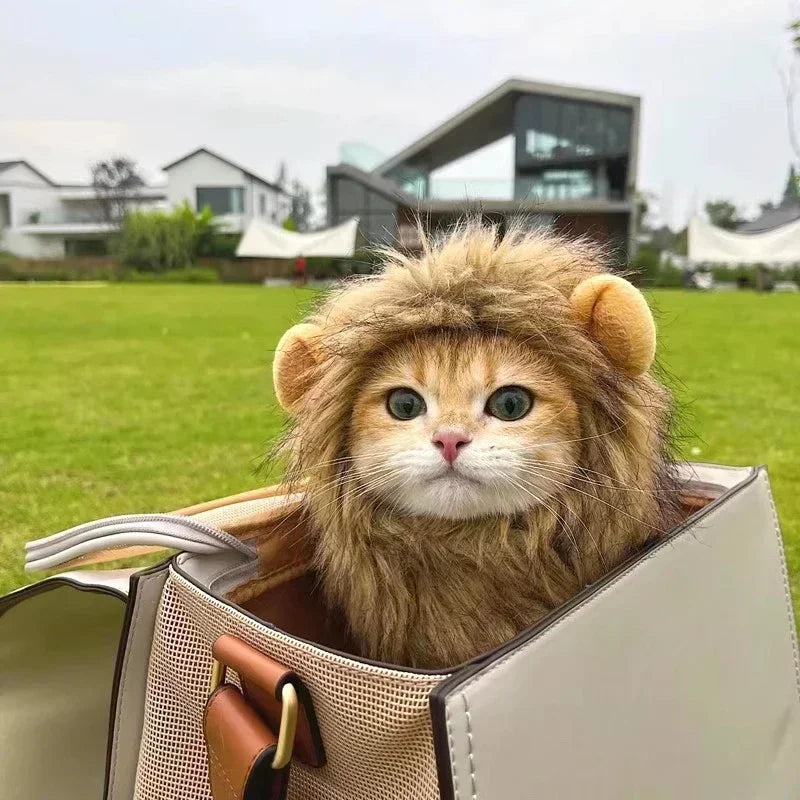 Cat Lion Mane Costume Pet Cosplay Hat for Halloween Christmas