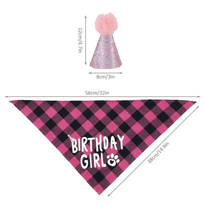 Dog Birthday Party Supplies Set With Hat And Bandana For Medium Large Dogs