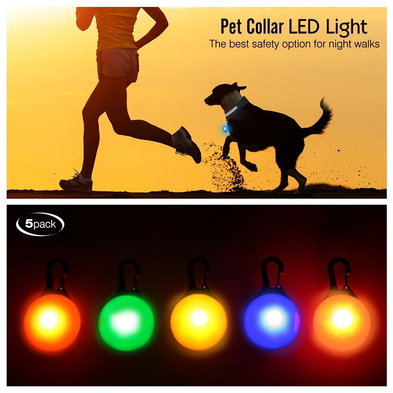 USB Charging LED Dog Collar With Detachable Pendant For Night Safety