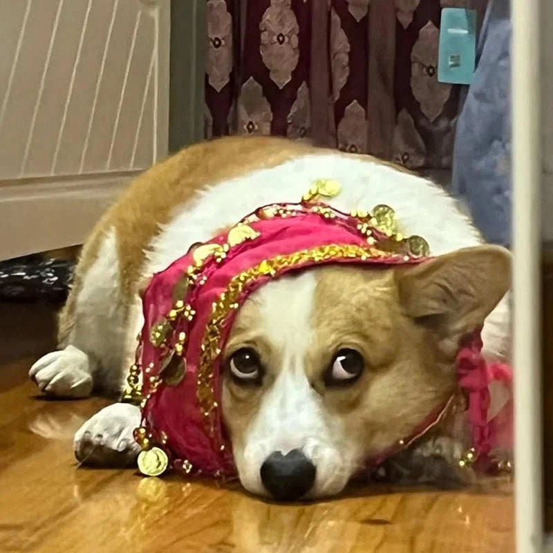 Corgi Belly Dance Hip Towel Pet Dog Skirt With Sequins