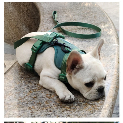 Dog Chest Harness Set - 11 Colors Waterproof PVC with Leash
