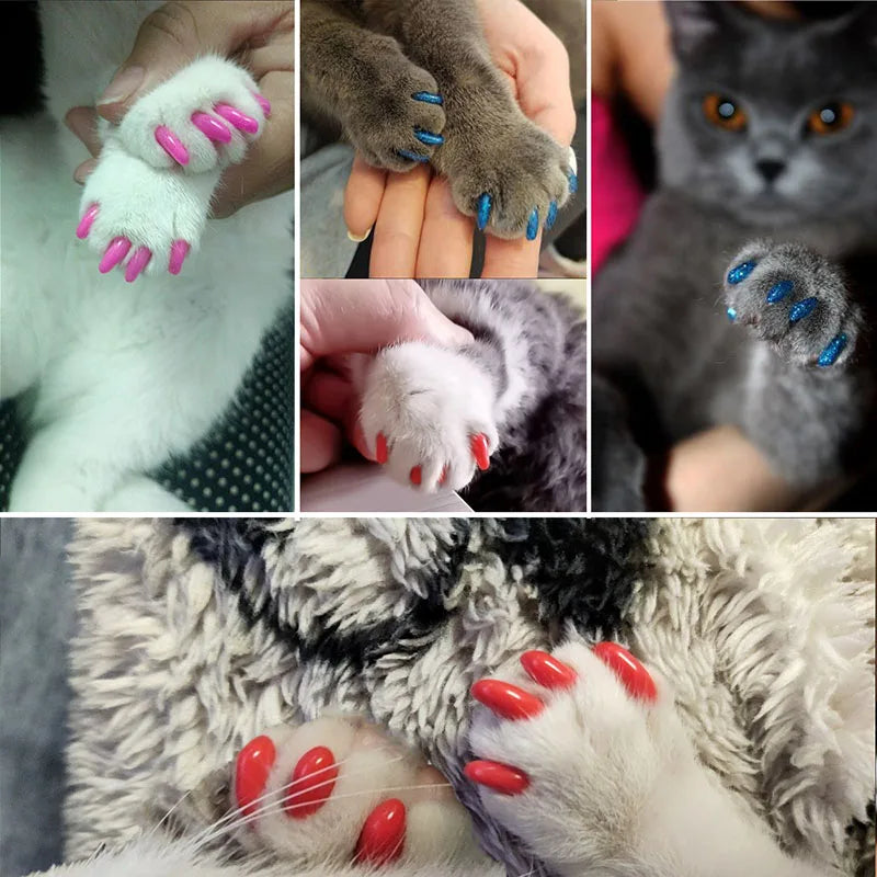 Cat Nail Caps Soft Paws Protector Covers With Adhesive Glue (60 pieces)