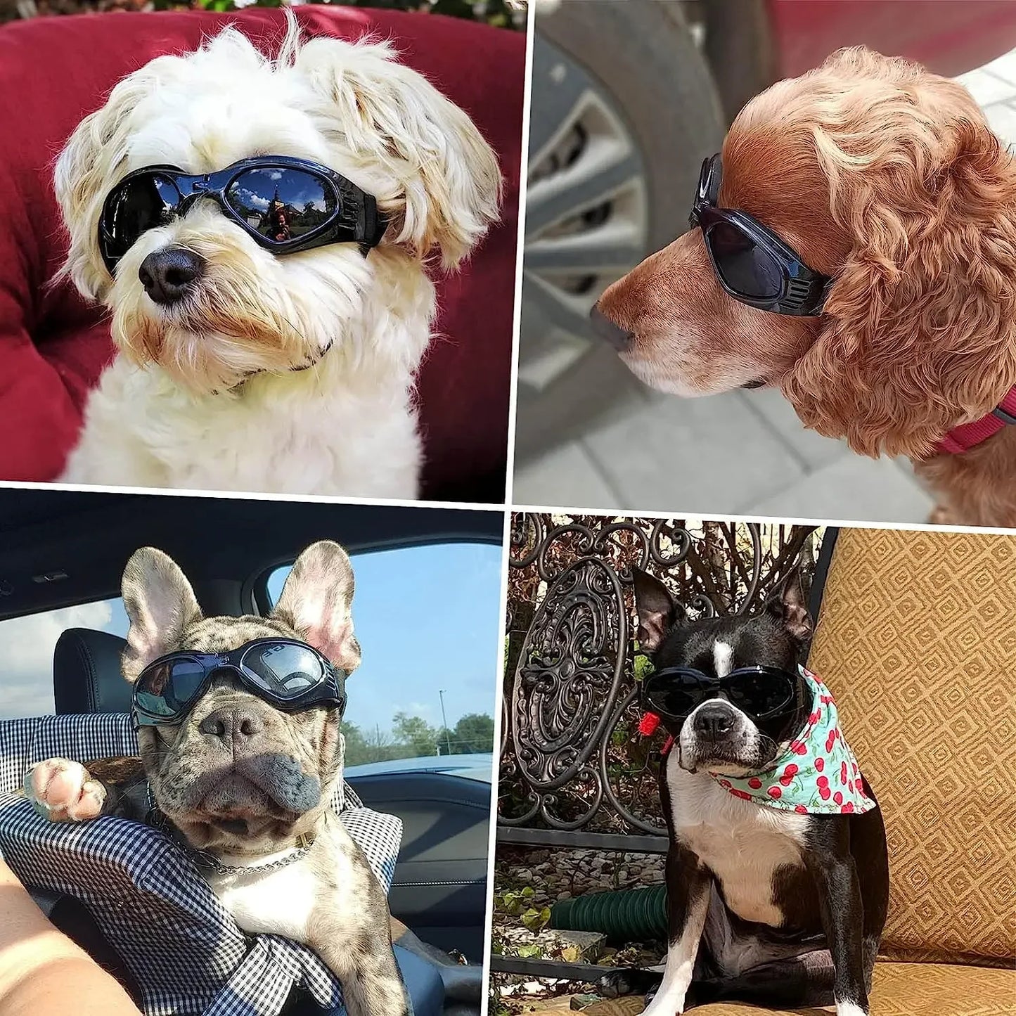 Dog Helmet Sunglasses For Small Medium Dogs UV Protection Outdoor